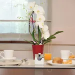 Dori Hotel Peschiera del Garda