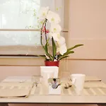 Hotel Dori Peschiera del Garda